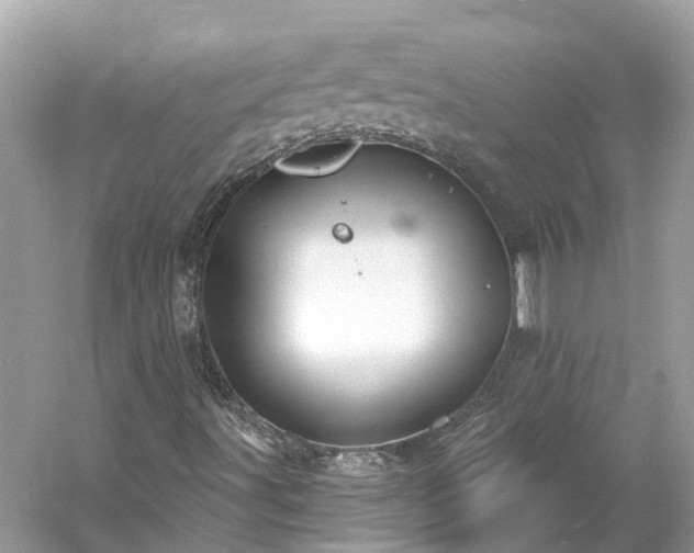 X0000061151491200511181220