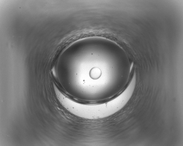 X0000061151492200511181220