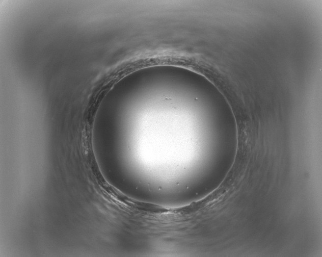 X0000061151493200511181220