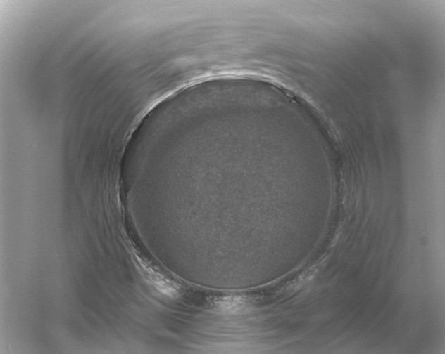 X0000061151497200511181220