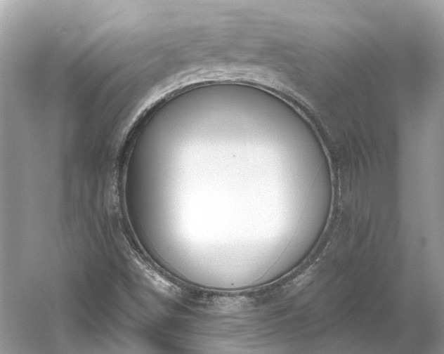 X0000061151498200511181220