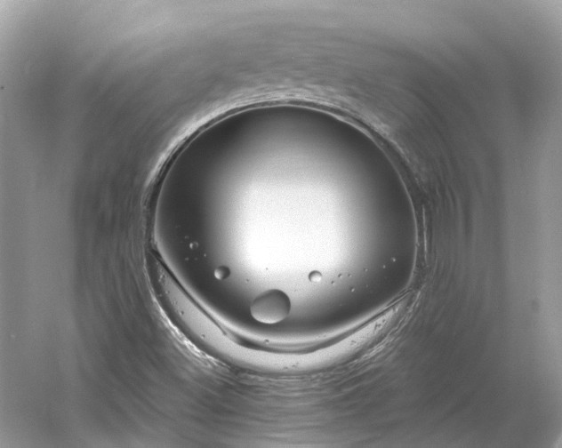 X0000061151500200511181220