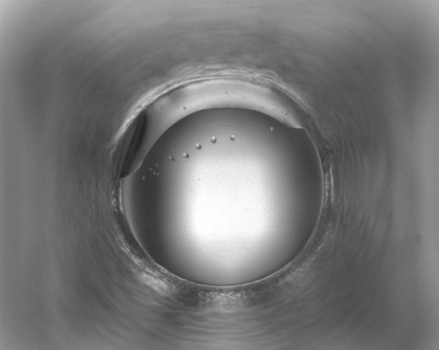 X0000061151501200511181220