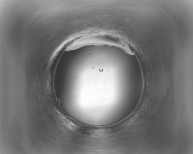 X0000061151502200511181220