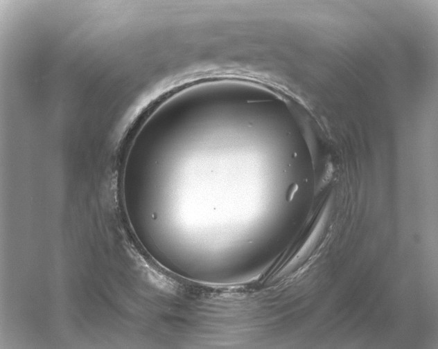 X0000061151503200511181220