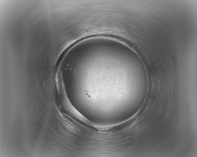 X0000061151505200511181220