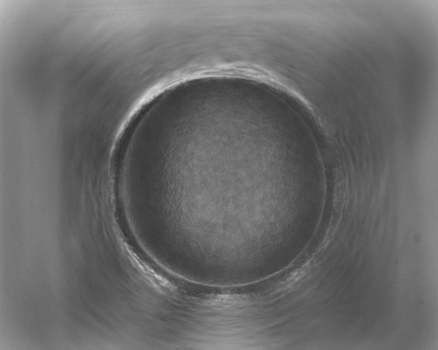 X0000061151506200511181220