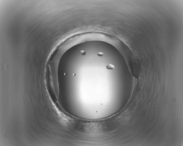 X0000061151508200511181220