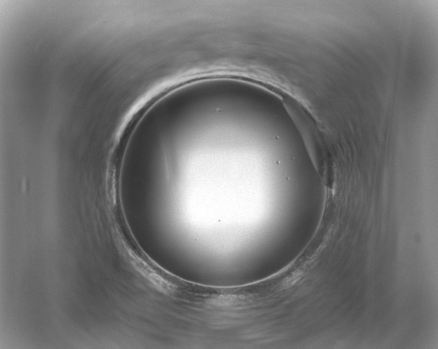 X0000061151510200511181220