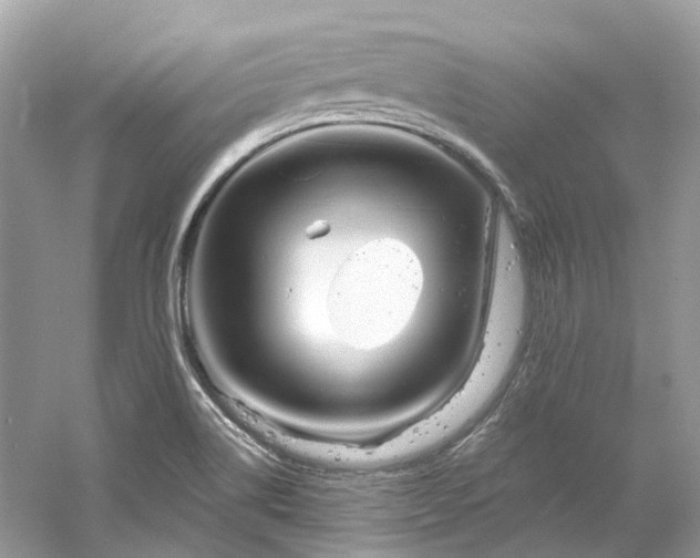 X0000061151514200511181221