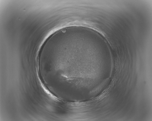 X0000061151515200511181221