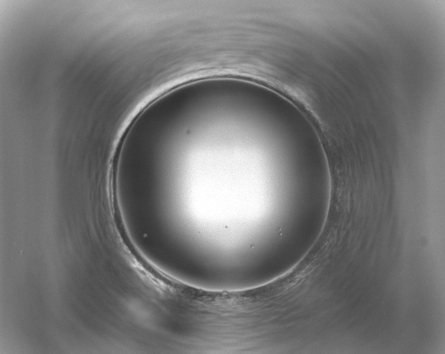 X0000061151516200511181221