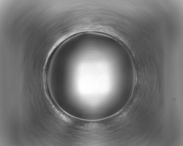 X0000061151517200511181221