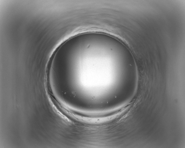 X0000061151518200511181221