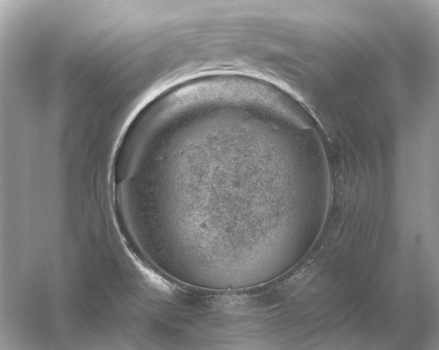 X0000061151519200511181221