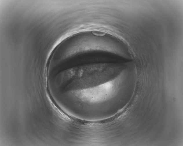 X0000061151522200511181221