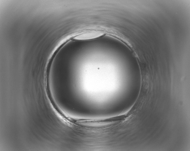 X0000061151523200511181221