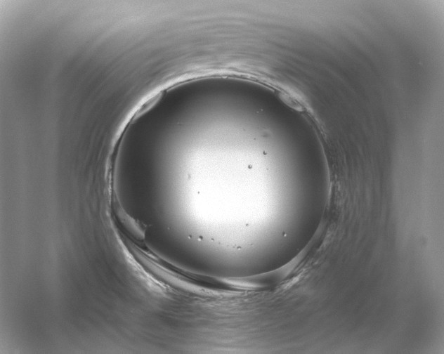 X0000061151524200511181221