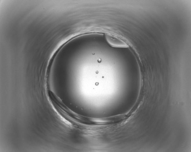 X0000061151525200511181221