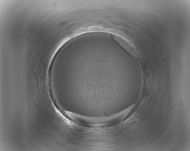 X0000061151527200511181221