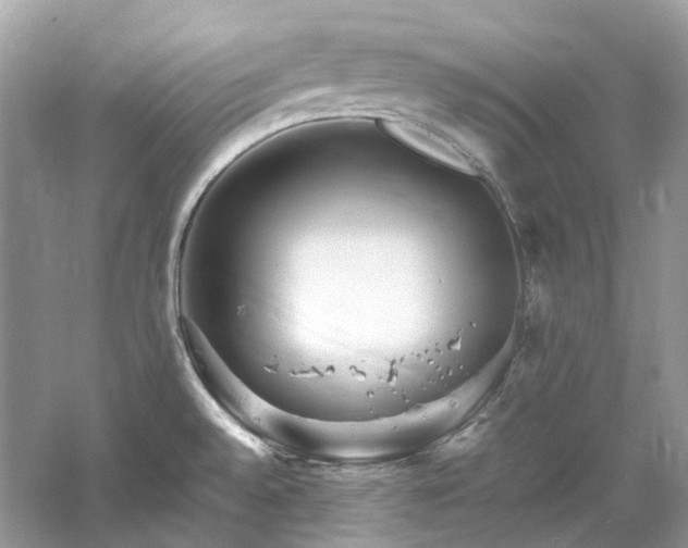 X0000061151528200511181221