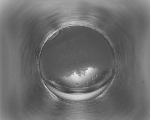 X0000061151529200511181221