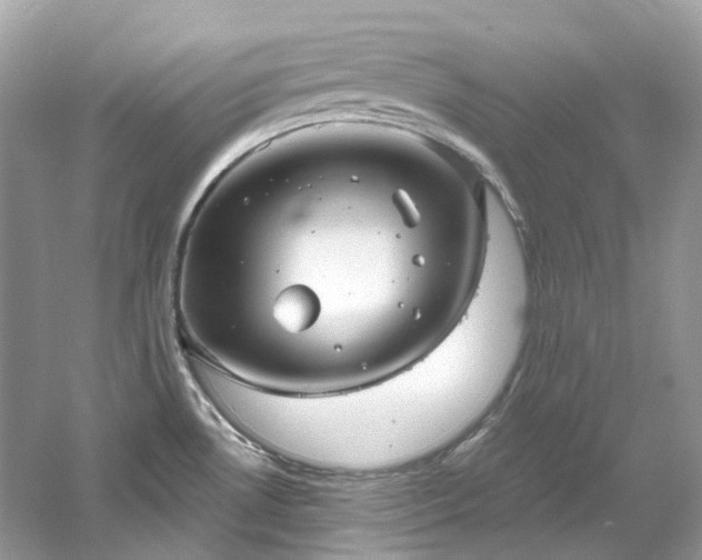 X0000061151530200511181221