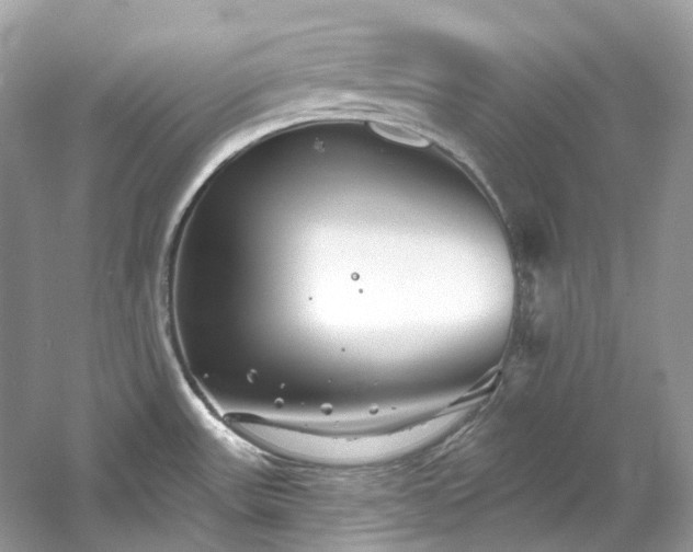 X0000061151531200511181221