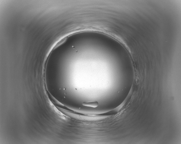 X0000061151532200511181221