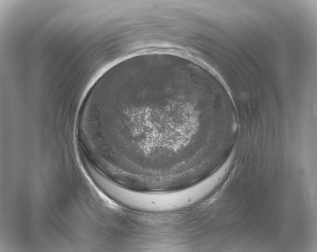 X0000061151533200511181221