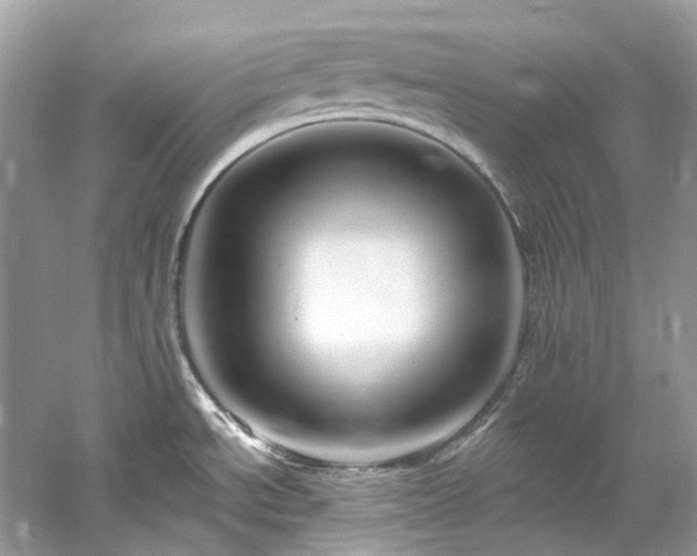 X0000061151534200511181221