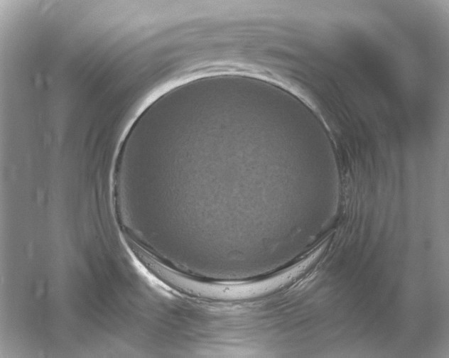 X0000061151535200511181221