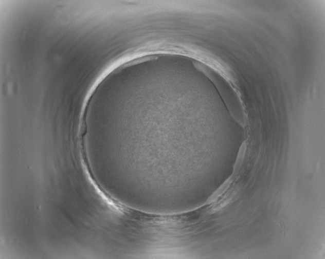 X0000061151536200511181221