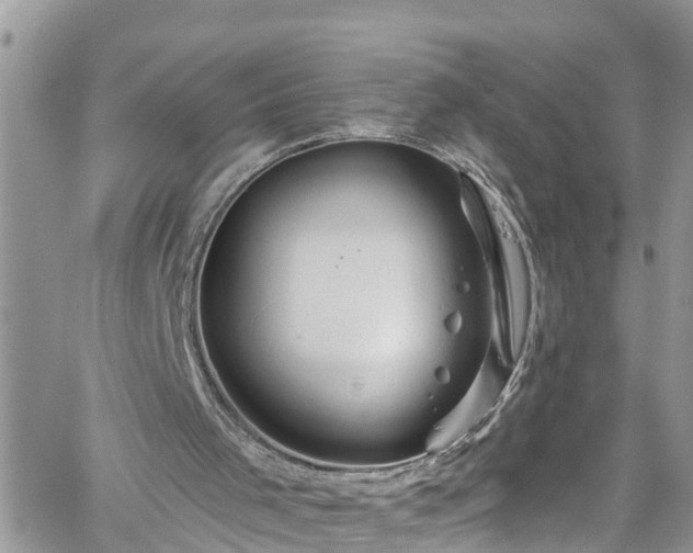 X0000061150001200511211014