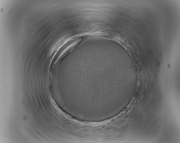 X0000061150002200511211014