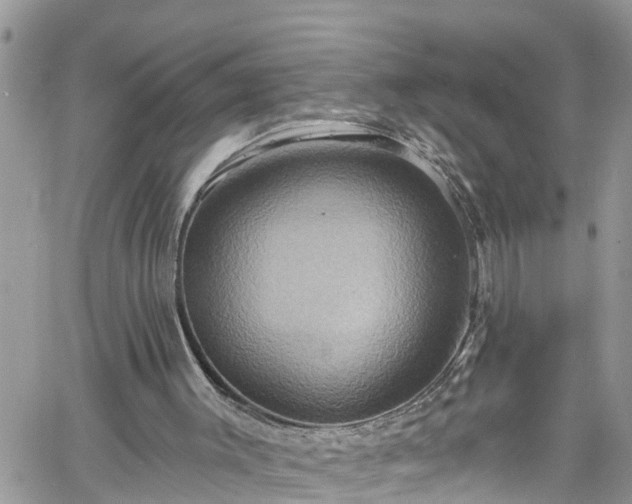 X0000061150003200511211014