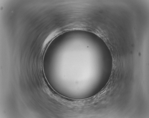 X0000061150004200511211014