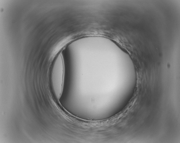 X0000061150005200511211013