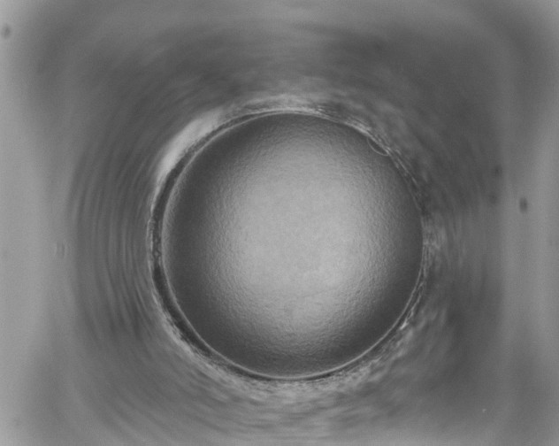 X0000061150006200511211013