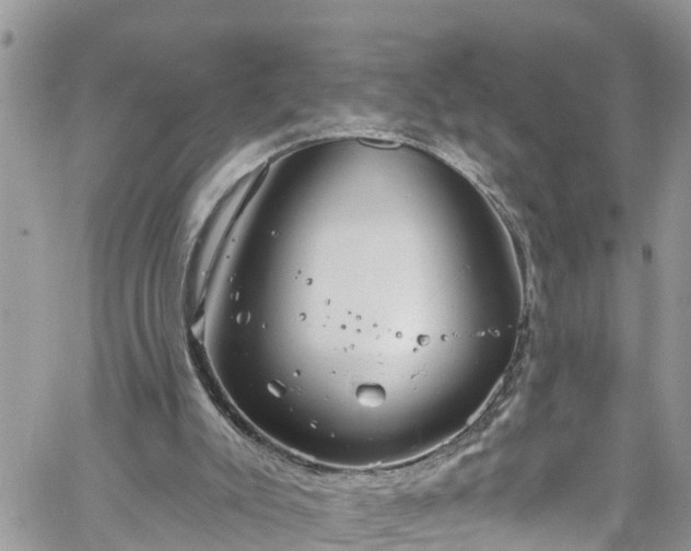 X0000061150007200511211013