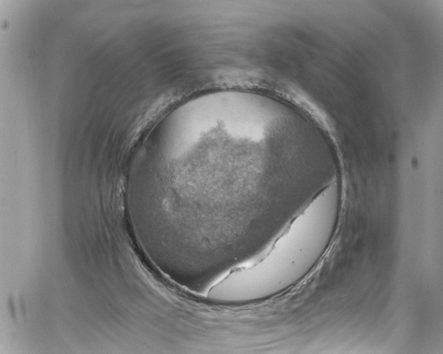 X0000061150009200511211013