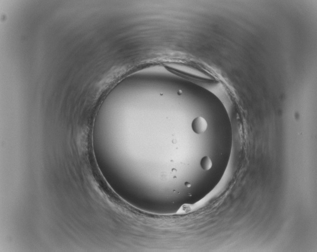 X0000061150010200511211013