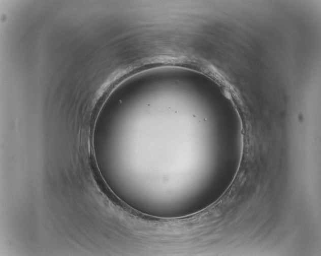 X0000061150011200511211013