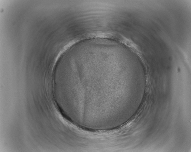 X0000061150012200511211013