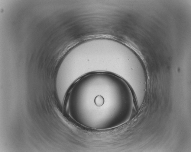 X0000061150013200511211013