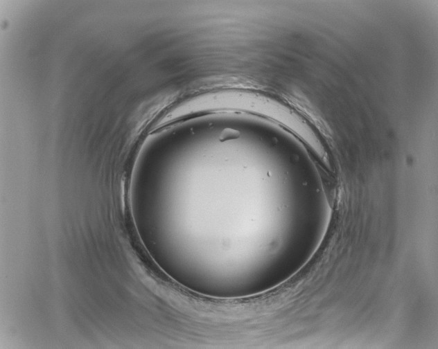 X0000061150014200511211013