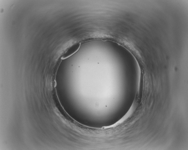 X0000061150015200511211013