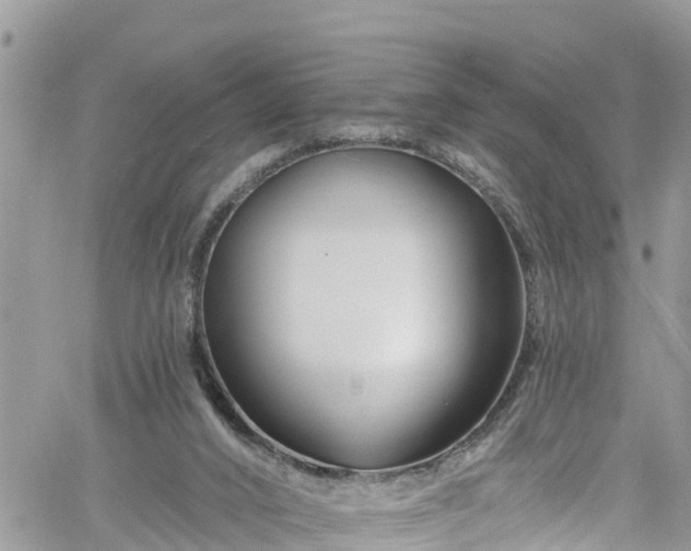 X0000061150016200511211013