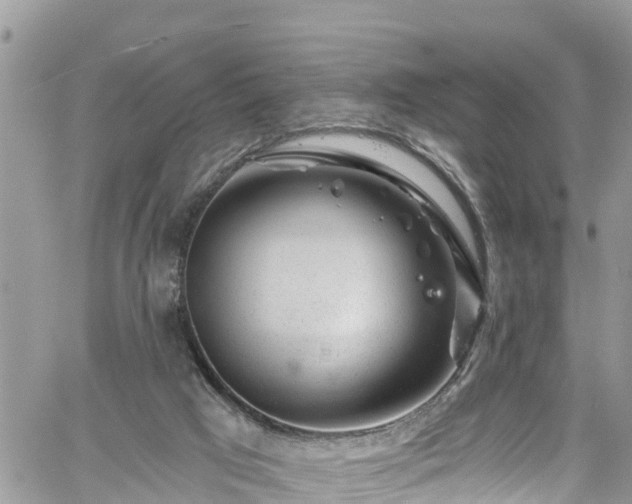 X0000061150017200511211013