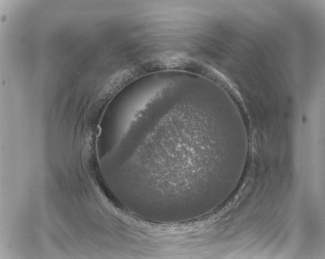 X0000061150018200511211013